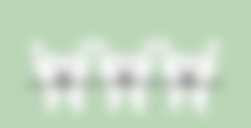 XX医院杨笑草医生擅长项目
