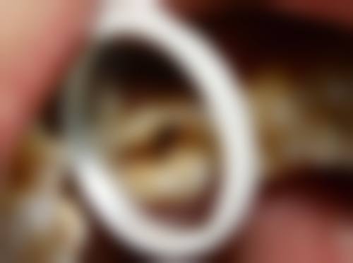 泗阳县王玉宝口腔王玉宝医生执业信息