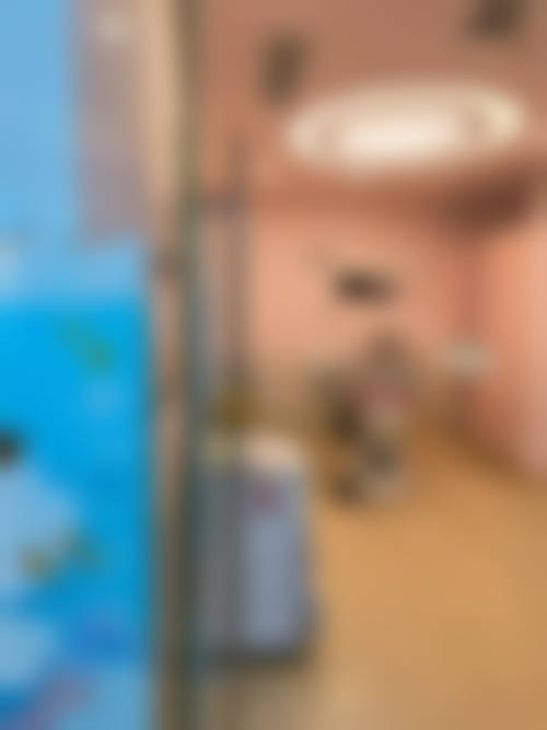 首都医 科 大学附属北京朝阳医院石景山医院郭燕医生怎么预约挂号