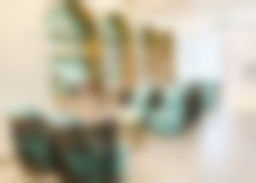 温州鹿城蓝芽口腔门诊部医院医生团队