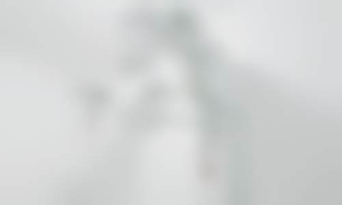 XX医院佟彩茹医生技术特色