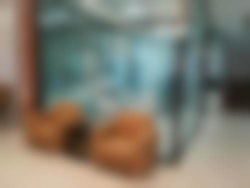 沧州市运河区万泰口腔诊所医院卫健委资质
