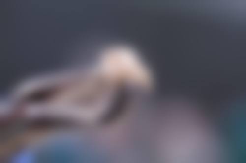 杭州天鑫口腔医院李昌轩医生执业信息