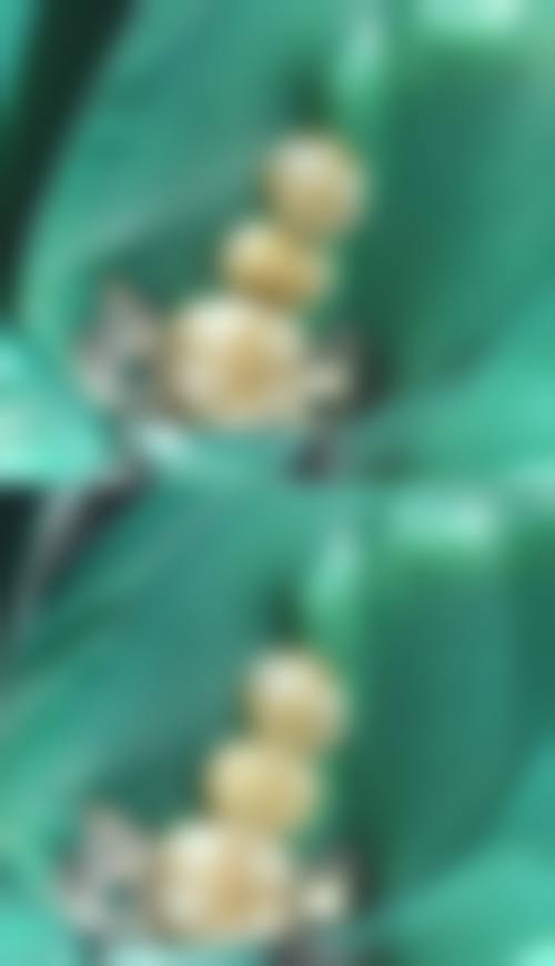 未提及医院名称李荣鋆医生执业信息