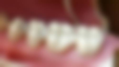 FAQ：常见疑问解答