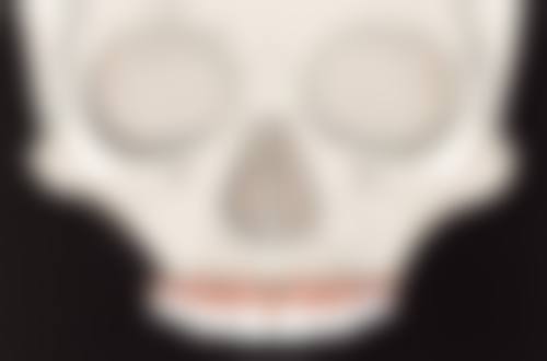 特色科室与核心项目