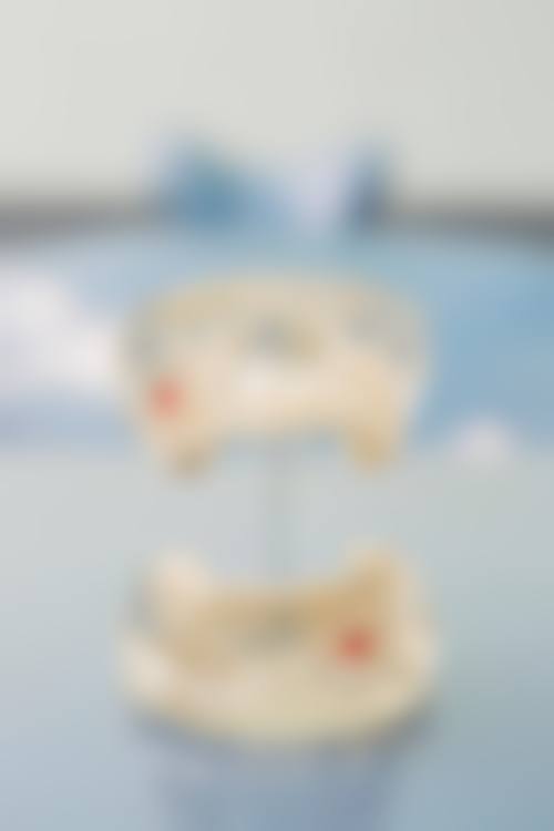 优惠活动详情：首次到诊享免费检查，种植/矫正限时特别优惠
