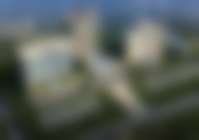 擅长项目详解