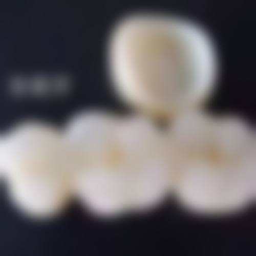 预约优惠活动