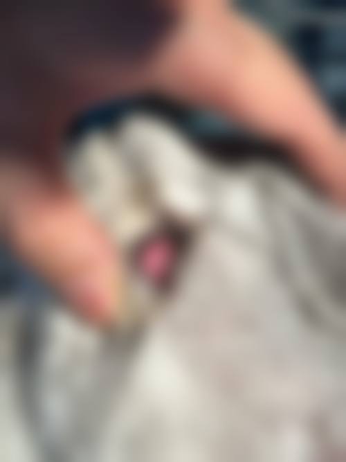 设备环境介绍:科技与舒适的结合