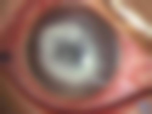 常见问题解答