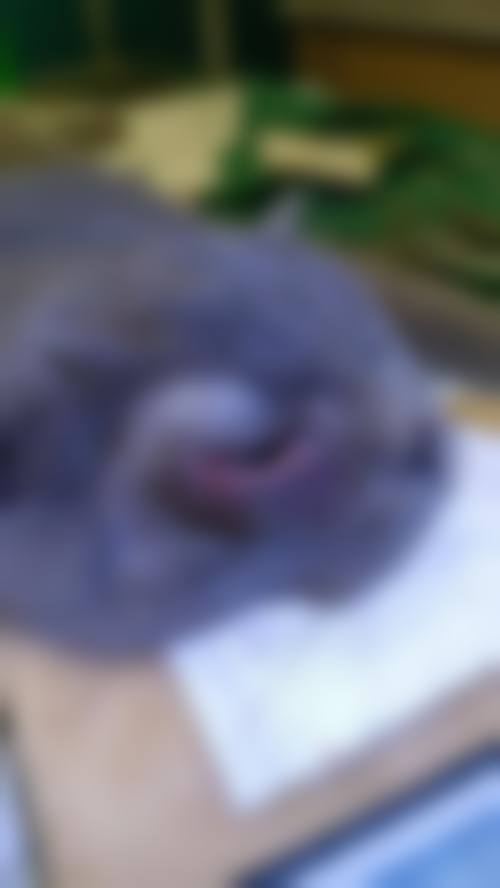 设备与环境：精细诊疗的硬件保护