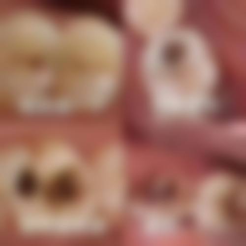 暨南大学附属第一医院赵月萍医生执业信息