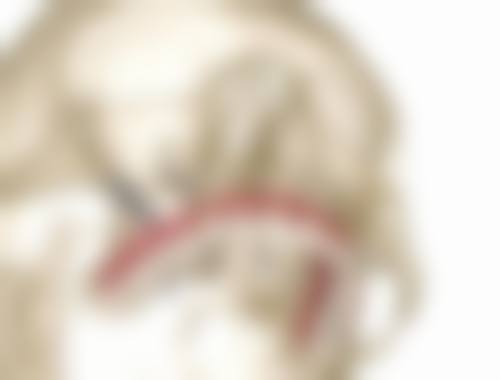 擅长项目详解：贾若尘医生能解决我的牙齿问题吗？