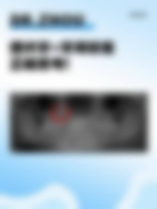 特色项目与核心技术优势