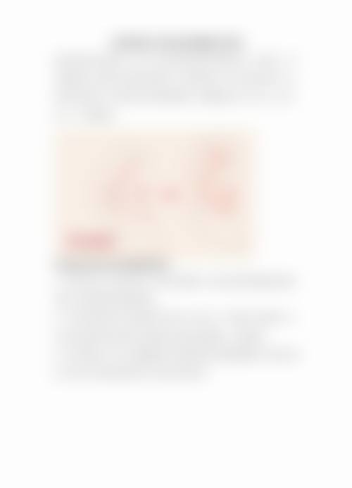 优惠活动详情与预约方式