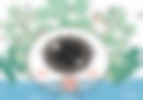 总结与预约号召