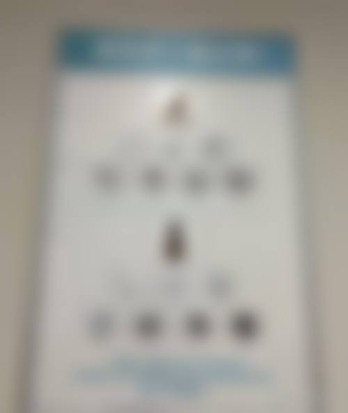 擅长项目详解