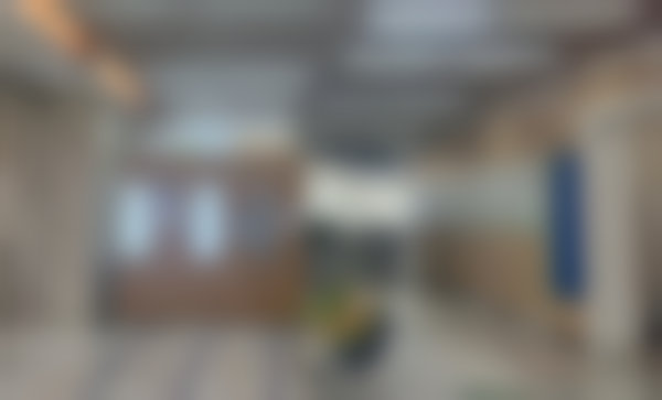 擅长项目详解