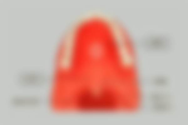 预约优惠活动