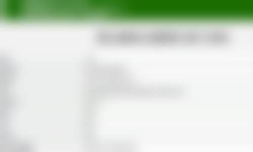 擅长项目详解