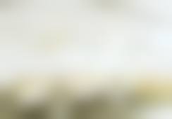 擅长项目详解