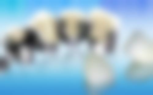 深圳市宝安区中医院刘春子医生执业信息