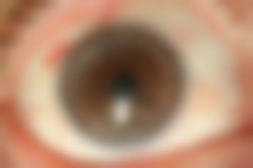 常见问题解答(FAQ)