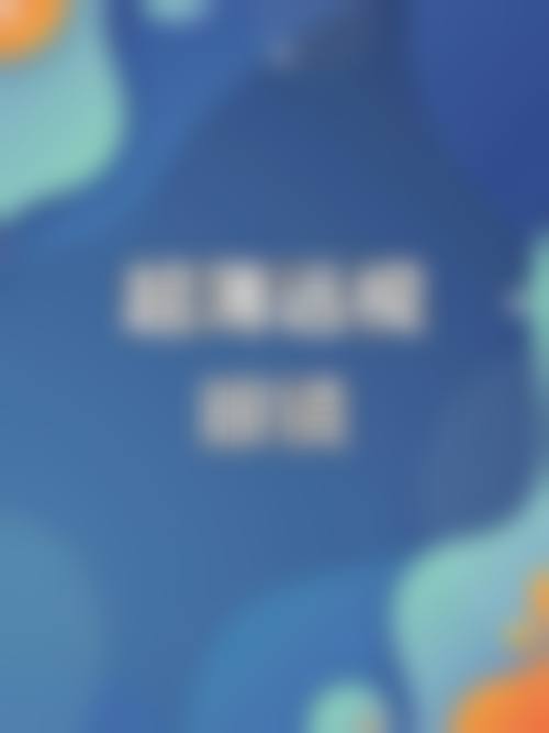 擅长项目详解